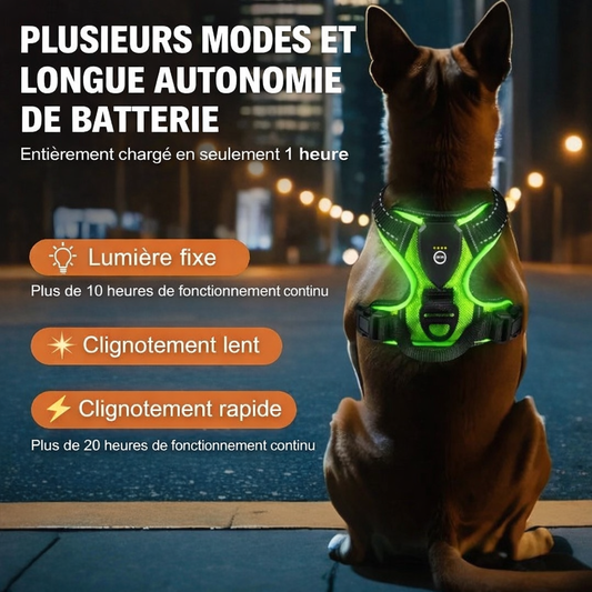 Harnais futuriste LED pour chien – Visibilité 360° et sécurité nocturne avancée