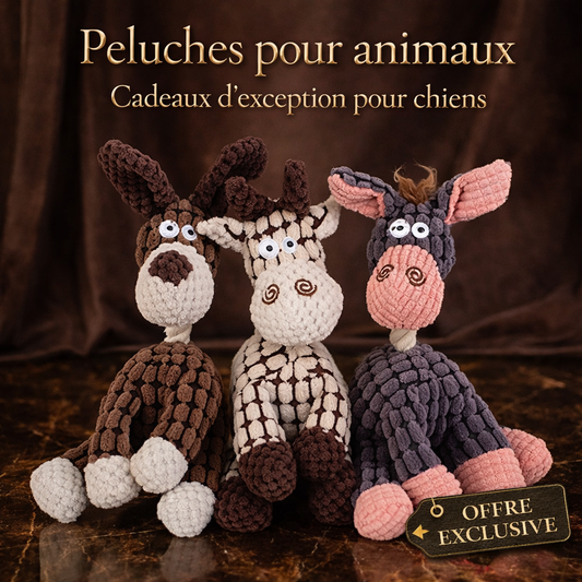 Jouet Chien Peluche Résistant 🐶 Couineur pour Tous Chiens