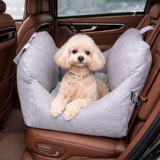 Siège de voiture portable