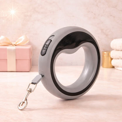 Laisse Rétractable Automatique 2,5 m pour Chien 🐶