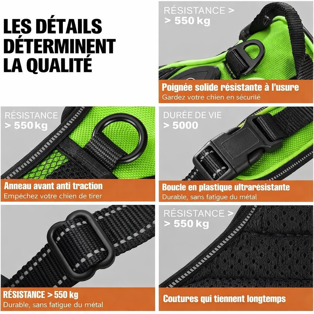 Harnais futuriste LED pour chien – Visibilité 360° et sécurité nocturne avancée