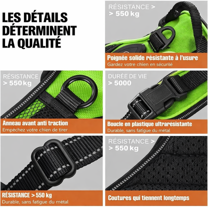 Harnais futuriste LED pour chien – Visibilité 360° et sécurité nocturne avancée
