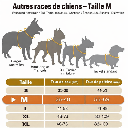 Harnais futuriste LED pour chien – Visibilité 360° et sécurité nocturne avancée