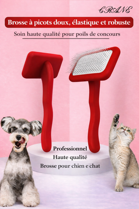Brosse Professionnelle pour Chiens – Soin Complet du Pelage