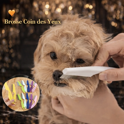 Peigne Nettoyage Coin des Yeux – Chien & Chat