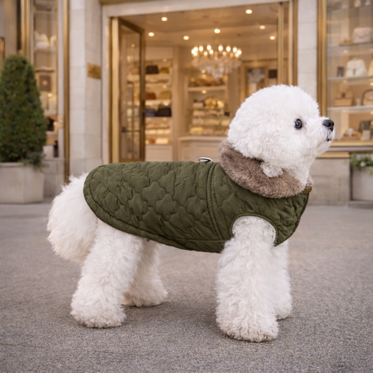 Veste d’Hiver Imperméable pour Chien CDDMPET – Doublure Polaire & Col Fourrure