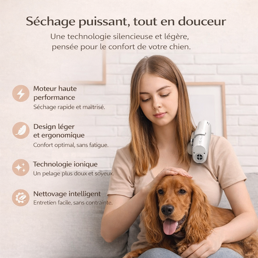 Sechoir de Toilettage Mains Libres pour Chien & Chat