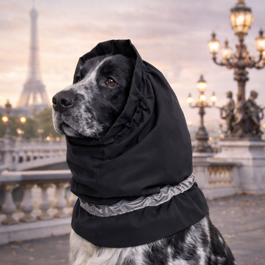 Cache-oreilles spécial cocker imperméable et coupe-vent avec protection du cou