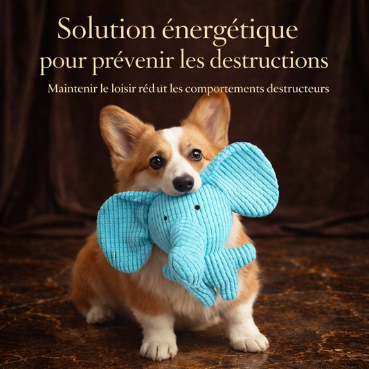 Jouet Peluche Éléphant Froissé – Couineur Interactif pour Chien et Chat