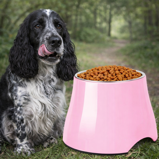 Gamelle surélevée antidérapante spécial cocker avec bol en acier inoxydable