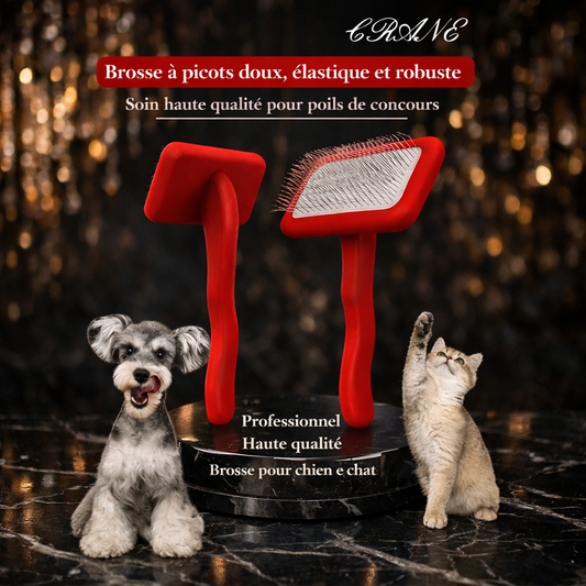 Brosse Professionnelle pour Chiens – Soin Complet du Pelage