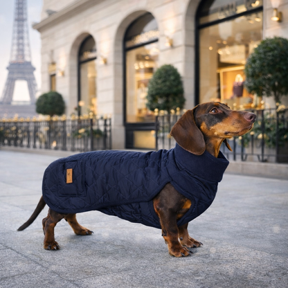 Veste spécial Teckel Automne/Hiver