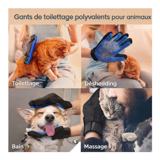 Gant attrape-poils chien & chat