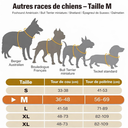 Harnais futuriste LED pour chien – Visibilité 360° et sécurité nocturne avancée