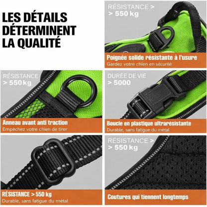 Harnais futuriste LED pour chien – Visibilité 360° et sécurité nocturne avancée