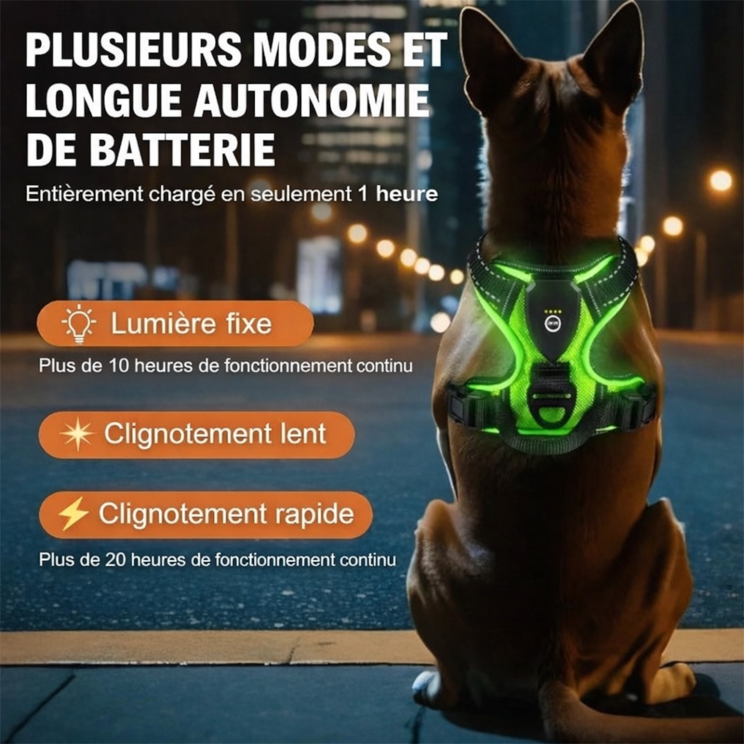 Harnais futuriste LED pour chien – Visibilité 360° et sécurité nocturne avancée