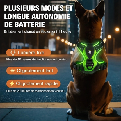 Harnais futuriste LED pour chien – Visibilité 360° et sécurité nocturne avancée