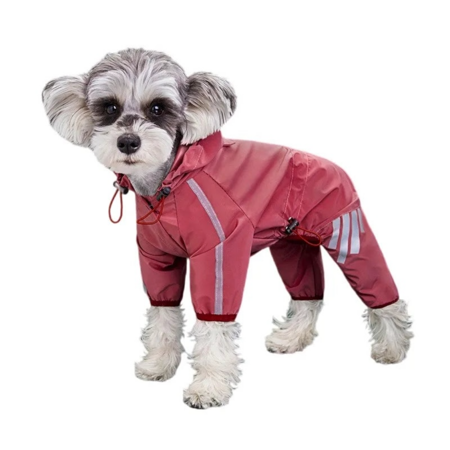 Imperméable Réfléchissant pour Chien – Combinaison Étanche pour Petits et Moyens Chiens