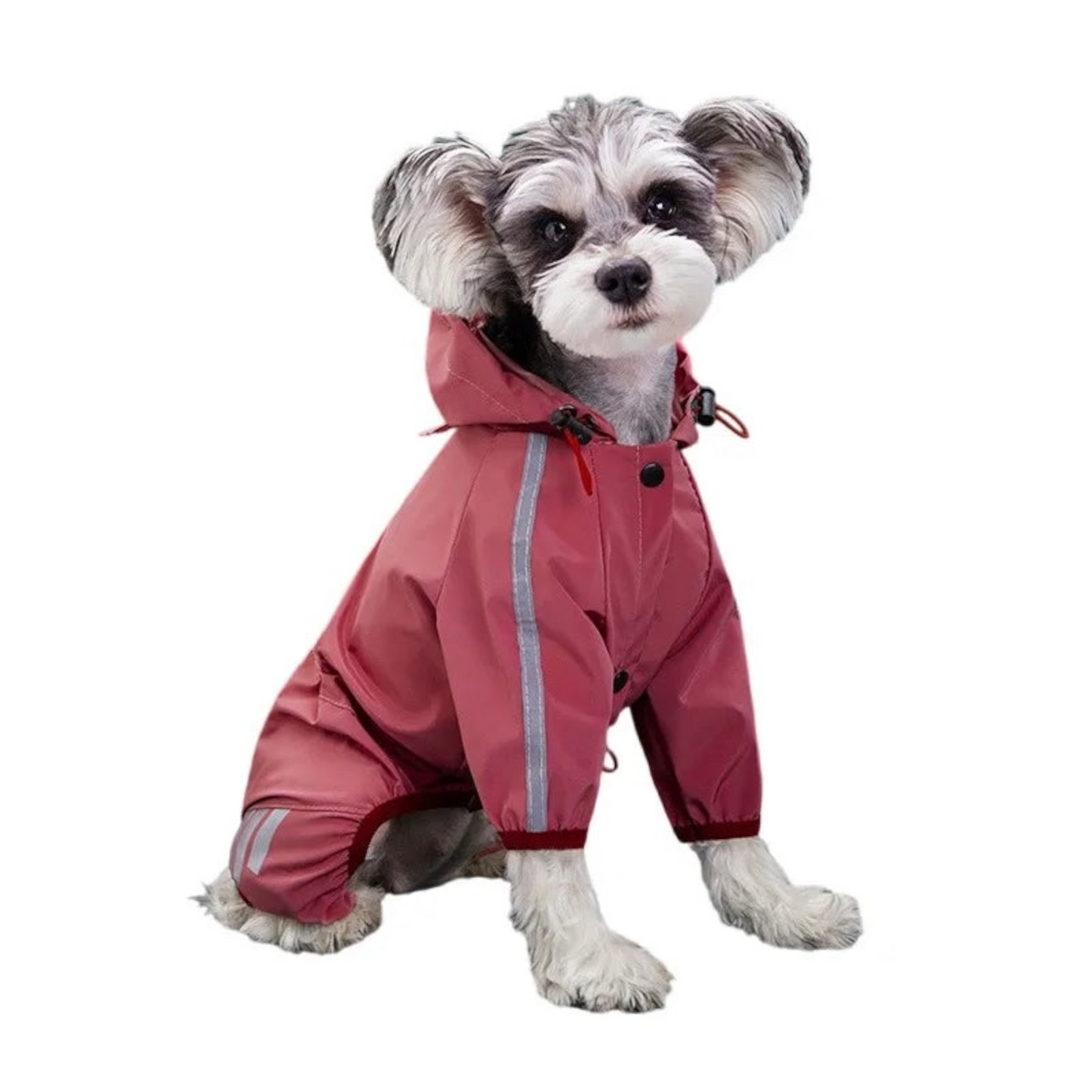 Imperméable Réfléchissant pour Chien – Combinaison Étanche pour Petits et Moyens Chiens