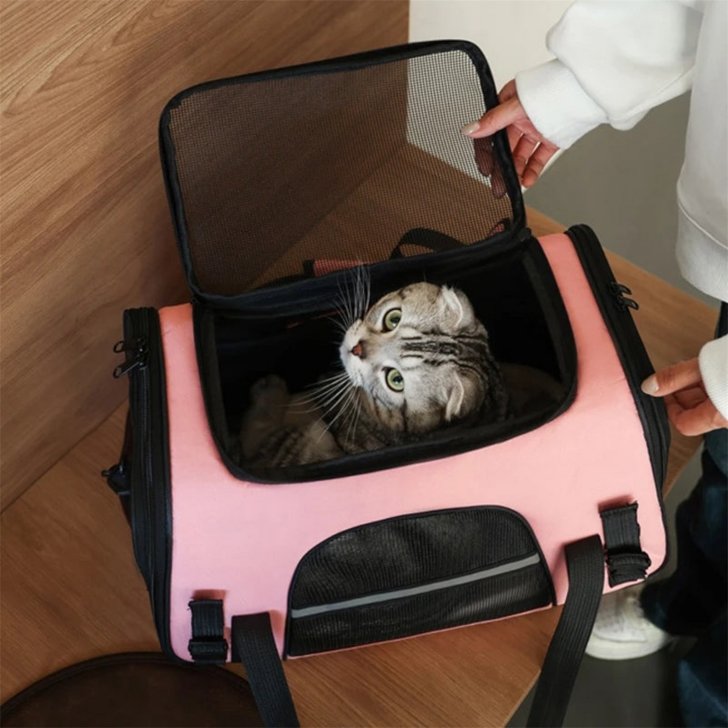 Sac de transport pliable et respirant pour chien et chiot – Voyage avion & train