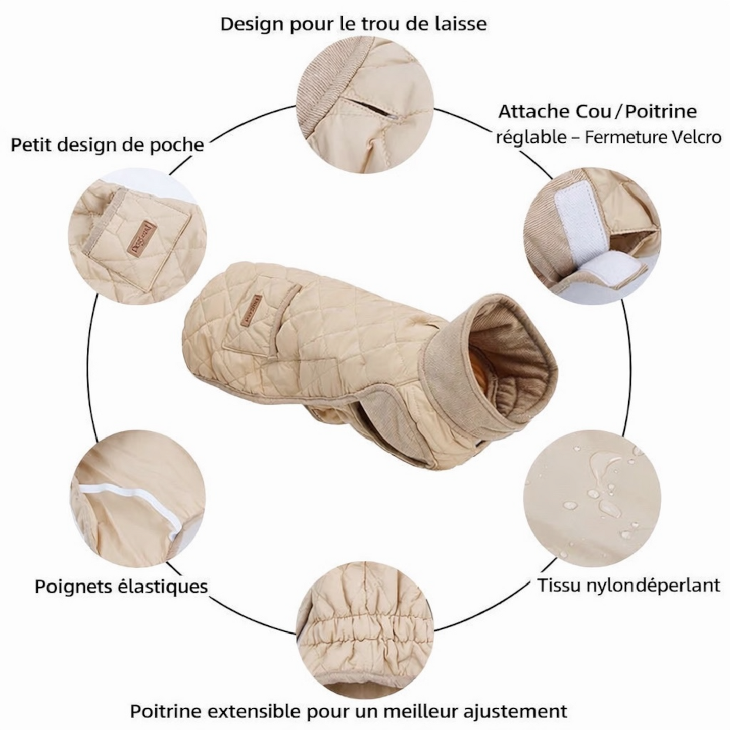 Veste spécial Teckel Automne/Hiver